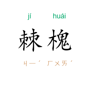 棘槐
