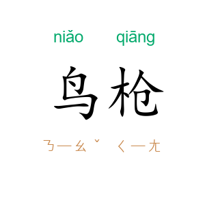 鸟枪
