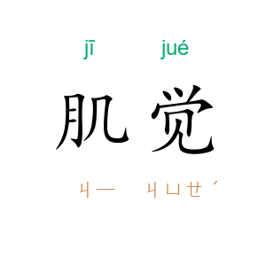 肌觉