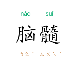 脑髓