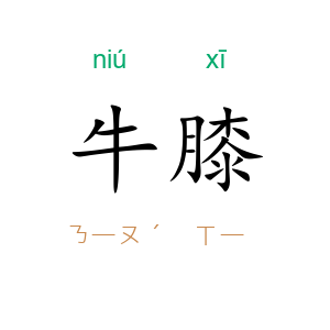 牛膝
