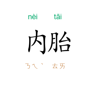 内胎