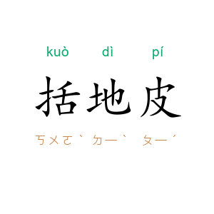 括地皮