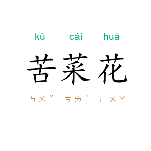 苦菜花