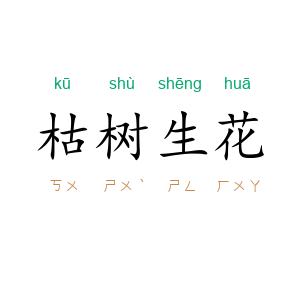 枯树生花