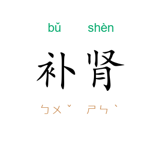 补肾