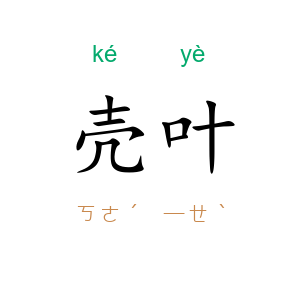 壳叶