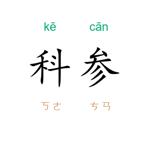 科参