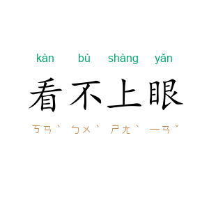 看不上眼