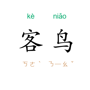 客鸟