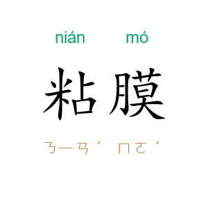 粘膜