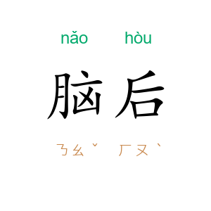脑后