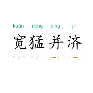 宽猛并济