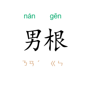 男根