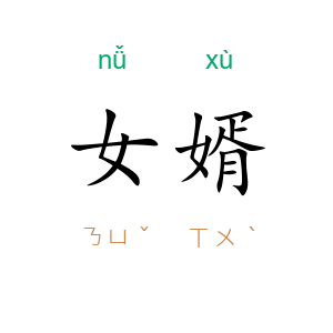 女婿