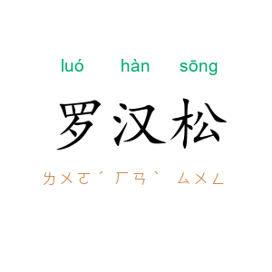 罗汉松