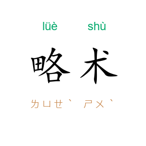 略术