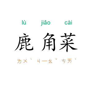 鹿角菜