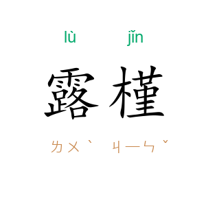 露槿