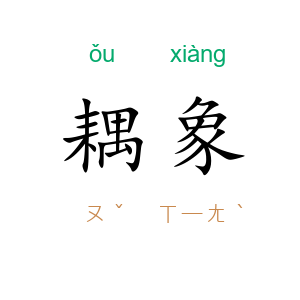 耦象