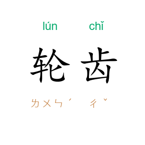 轮齿
