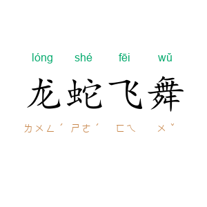 龙蛇飞舞