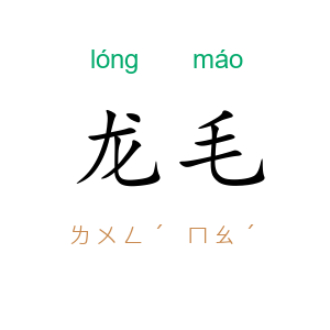 龙毛