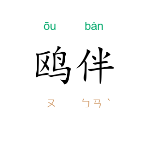 鸥伴