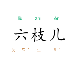 六枝儿