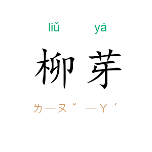 柳芽