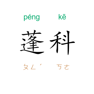 蓬科