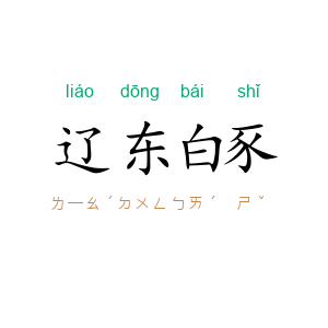 辽东白豕
