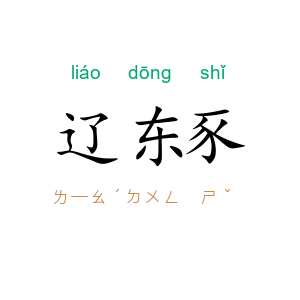辽东豕