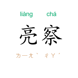 亮察