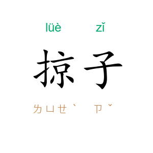 掠子