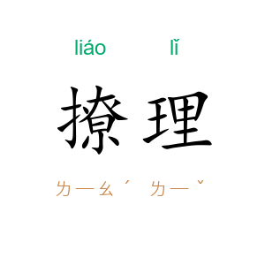撩理