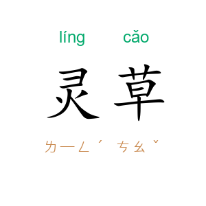 灵草