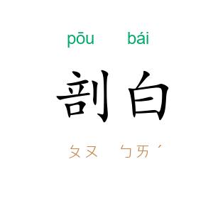 剖白