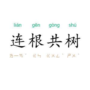 连根共树