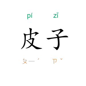 皮子