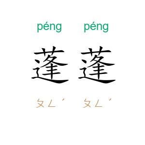 蓬蓬