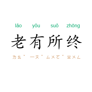 老有所终