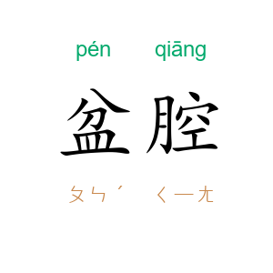 盆腔