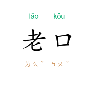 老口