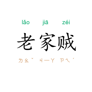老家贼