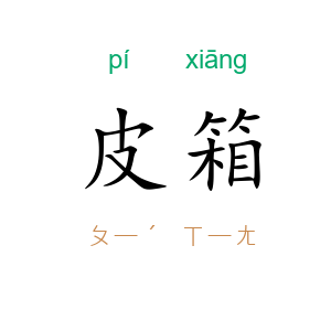 皮箱