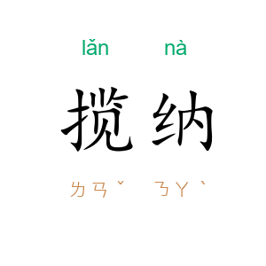 揽纳