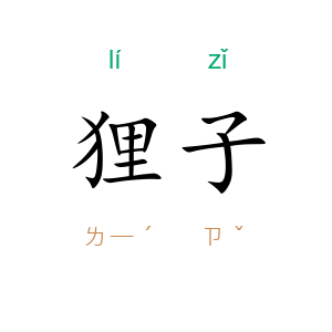 狸子