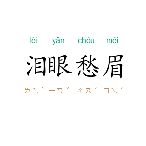 泪眼愁眉