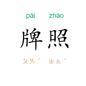 牌照